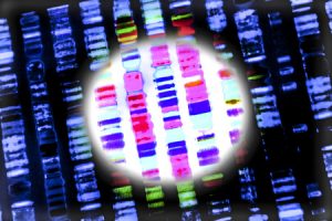 Scientists Hope to Cure Hearing Loss With Gene Therapy