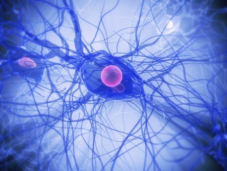 Study Finds Hearing Loss Changes Nerve Cell Behavior