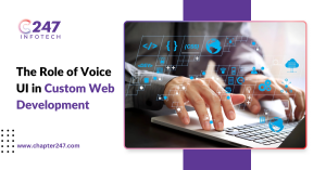 Voice UI, custom web development, web development